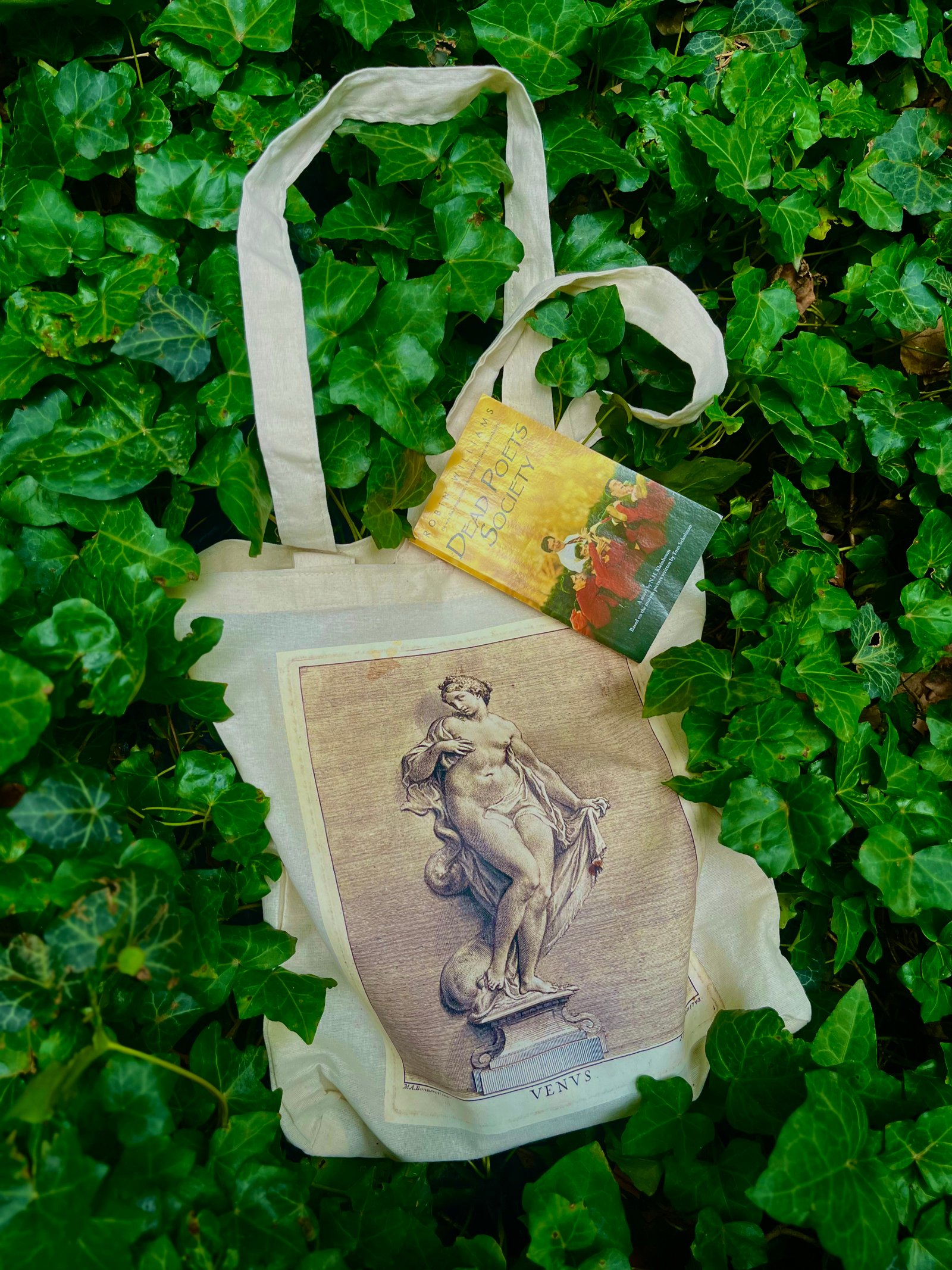 TOTE-BAG - VENUS - SOCRATES TBILISI - Image 6