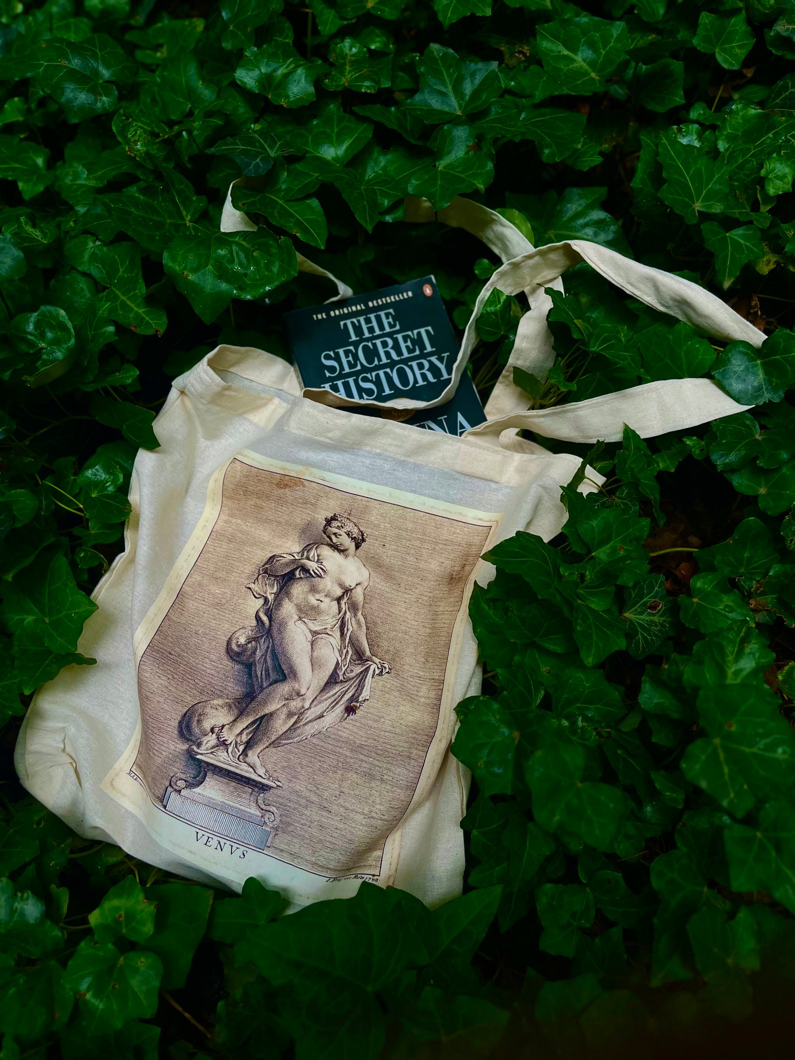 TOTE-BAG - VENUS - SOCRATES TBILISI - Image 4