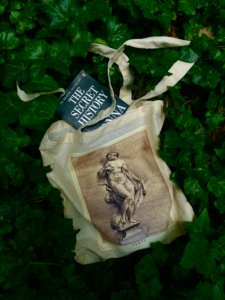 VENUS THE GREEK GOD TOTE-BAG