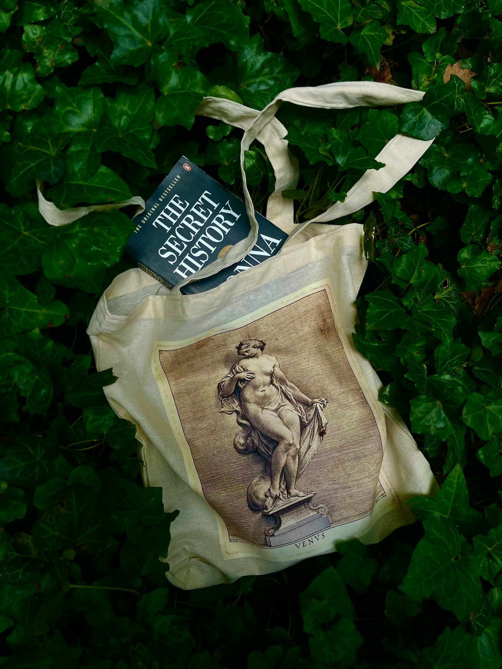 VENUS THE GREEK GOD TOTE-BAG